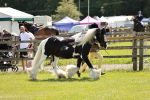 SBM_04143