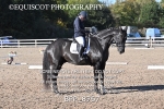 BPP_8767
