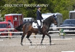 BPP_6145