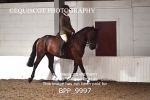 BPP_9997