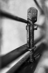 Lockdown II