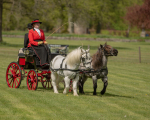 Attelage -925