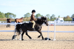 SBM_07803