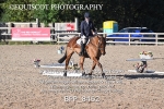 BPP_8462