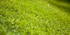 04Jun2013: Photo 155