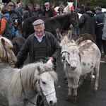 21, The horse fair at Maum Cross, Co.Galway