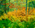 Istock #16735773