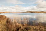 Loch Hempton