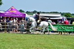 SBM_15343