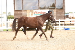SBM_10370