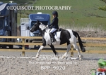 BPP_9920