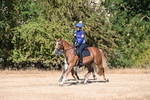 WJ6_7725
