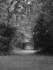 Image 10 (b&w)