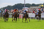 250823-Race 1-Marhaba The Champ-0119