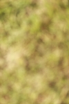 SBM_02029