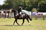 SBM_17909