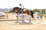 SBM_001783