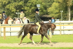 SBM_69029
