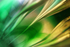 Green 1