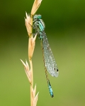 20080627- 010
