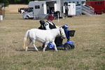 WJ6_6798