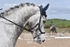 BPP_6398
