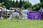 SBM_06423