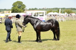 SBM_07181