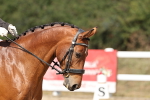 SBM_018709
