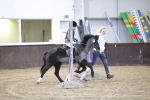 SBM_002934