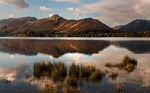 Light on the Fells