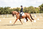 SBM_009348
