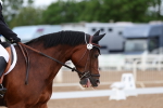 SBM_00261