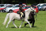 SIAL4006
