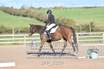 BPP_8334