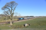 JL - 10.4.21 88008 4M27 Mossend - Daventry, Salterwath