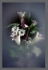 Lilium and Veronica