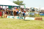 SBM_16921