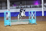 SBM_002008