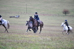 WJ5_6551
