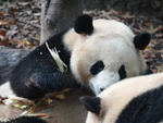 CHINA__0063