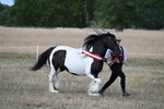 WJ7_8429