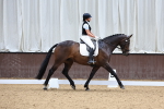 SBM_009334