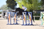 Unaffiliated Show Jumping portfolio
