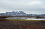 Lake Mývatn, north Iceland