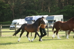 SBM_10411