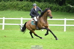 Cls 35 Foxhunter portfolio