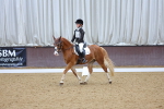 SBM_004206
