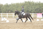 SBM_003923