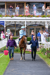 270626-Race 6-Hallo Spaceboy-5861
